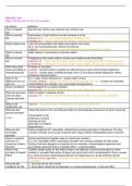 Latest Preview Thumbnail