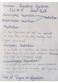 Studying Human's Digestive system