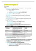 Samenvatting Economie &vert; Vraag & Aanbod &vert; Markt & Overheid &vert; Speltheorie &vert; Heden&comma; verleden & toekomst &vert; VWO &vert; 2026&sol;27
