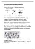 Document preview thumbnail