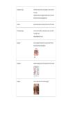 ANCC FNP Certification Exam &mdash; Practice Questions & Study Guide
