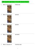 UARK Anatomy Lab Exam 3 Test with Answers Rated A