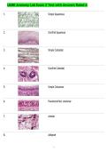 UARK Anatomy Lab Exam 2 Test with Answers Rated A
