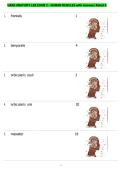 UARK ANATOMY LAB EXAM 2 - HUMAN MUSCLES with Answers Rated A