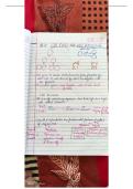 Cell cycle and cell division 