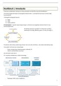 Respiratorische en internistische revalidatie
