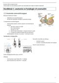 Ziekteleer neurologische patient&semi; Deel evenwicht &lpar;Mes&rpar; 
