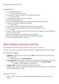 &colon; ATI Reproductive Systems &ndash; Study Guide