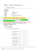 O201L&colon; Anatomy & Physiology I Lab &NewLine; &NewLine;The Endocrine System &NewLine; &NewLine;Final Report &NewLine;Student Name  &NewLine;Student ID 487716 &NewLine;Lesson The Endocrine System 