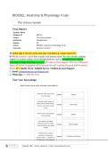 BIO202L&colon; Anatomy & Physiology II Lab &NewLine;The Urinary System &NewLine;Final Report &NewLine;Student Name  &NewLine;Student ID &NewLine;Lesson &NewLine;Institution &NewLine;Session 