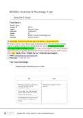 BIO202L&colon; Anatomy & Physiology II Lab &NewLine;Using the V-Scope &NewLine;Final Report &NewLine;Student Name  &NewLine;Student ID &NewLine;Lesson &NewLine;Institution 