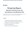 Complete Lab Report Bacterial Cell Structures BIO 101 &lpar;BIO101&rpar; Simulation Insights&excl; ALREADY RATED A&plus; 100&percnt; CORRECT ANSWERS