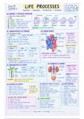 Life Processes&comma; Class 10&comma; Biology&comma; Science&comma; Revision