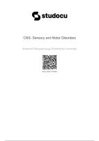 NR 507 CNS Disorders&NewLine;CNS Sensory & Motor Disorders&NewLine;NR 507 eDapt Notes&NewLine;NR 507 Exam Review