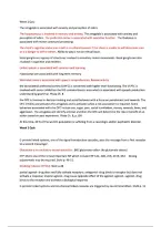 NR 546 Quiz Review&NewLine;NR 546 Weekly Quiz&NewLine;NR 546 Exam Review&NewLine;NR 546 Study Guide
