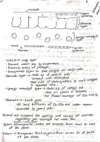 Easiest notes of chapter homeostasis 