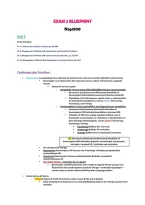 NSG4100 Exam 3 & 4 study guides&sol;blueprint 