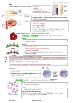 Class notes BIO0005 020  Anatomy and Physiology &lpar;2nd Edition&rpar;
