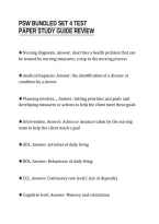 PSW BUNDLED SET 4 TEST&NewLine;PAPER STUDY GUIDE REVIEW