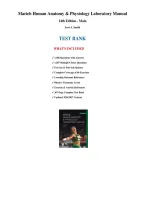 Test Bank - Marieb Human Anatomy & Physiology Lab Manual&comma; 14th Edition Smith