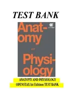 Test Bank For Anatomy and physiology 1st Edition by Kenneth Saladin&comma; Michele Phinney and William W Howland