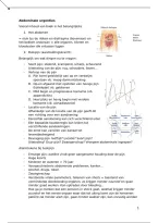 Abdominale urgenties &vert; Dringende geneeskundige hulpverlening &vert; Universiteit Gent &vert; 2026&sol;27