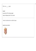 Skin Histology
