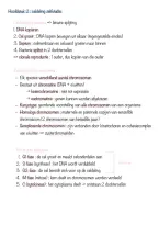 Zelfstudie Meiose en Mitose  &vert; Vergelijkende Biologie &vert; KU Leuven &vert; 2026&sol;27