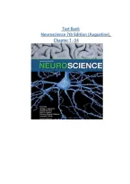 Test Bank - Neuroscience 7th Edition &lpar;Augustine&rpar;&comma; Chapter 1 - 34 Download as Pdf File Questions And Answers A&plus;GRADED