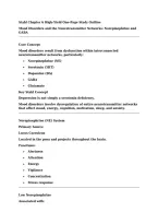 NSG 552  Stahl Chapter 6 study guide exams with correct solutions