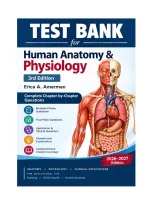 Test Bank for Human Anatomy & Physiology&comma; 3rd Edition by Erica A&period; Amerman Complete Chapter-by-Chapter&period;