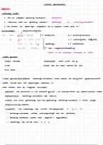 Lineaire optimalisatie &vert; KU Leuven &vert; 2024&sol;2025