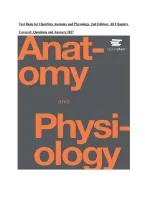 Test Bank for OpenStax Anatomy and Physiology 2e &vert; All Chapters Covered &vert; Questions & Answers 2027&NewLine;