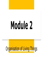 Presentation overviewing all key points of module 2 Living things