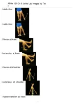 APHY 101 Chapter 9 Joints Lab Images &vert; Ivy Tech &vert; 2026 Study Guide