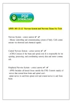 APHY 101 Chapter 12 Nervous System & Nervous Tissue &vert; Ivy Tech &vert; 2026 Study Guide