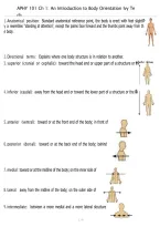 APHY 101 Chapter 1 An Introduction to Body Orientation &vert; Ivy Tech &vert; 2026 Study Guide