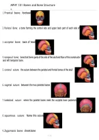 APHY 101 Bones & Bone Structures &vert; Ivy Tech &vert; 2026 Anatomy & Physiology Study Guide