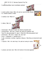 APHY 101 Chapter 11 Muscular System &vert; Ivy Tech &vert; 2026 Anatomy & Physiology Study Guide