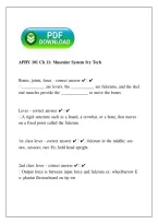 APHY 101 Chapter 11 Muscular System &vert; Ivy Tech &vert; 2026 Study Guide