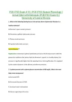 PCB 3703 Exam 4 V1 &vert; PCB 3703 Human Physiology &vert; &NewLine;Actual Q&A with Rationale &lpar;PCB3703 Exam 4&rpar; &vert; &NewLine;University of Central Florida