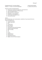 Neuro Patho Study Guide &vert; Essential Concepts&comma; Disorders & Exam Review