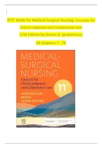NR-602 Primary Care of the Maturing and Aged Family Practicum &ndash; Chamberlain Course Overview & Study Guide