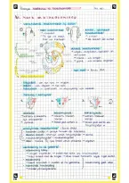Biologie Nectar VWO5 Hoofdstuk 10 samenvatting