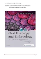 Test Bank for Essentials of Oral Histology and Embryology 6th Edition by Chiego &vert; Study Guide&comma; Practice Questions & Exam Review