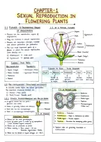 NEET Biology &ndash; Sexual Reproduction in Flowering Plants &vert; Complete Handwritten Notes