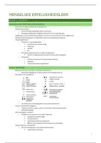 Menselijke erfelijkheidsleer &vert; Genetica &vert; 14&sol;20 &vert; 2025&sol;26