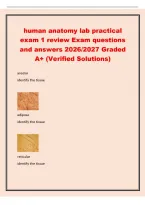 human anatomy lab practical&NewLine;exam 1 review Exam questions&NewLine;and answers 2026&sol;2027 Graded&NewLine;A&plus; &lpar;Verified Solutions&rpar;