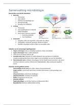 Samenvatting Toegepaste microbiologie &vert; Leerjaar 2&vert; Saxion
