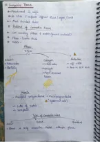 Complete Tissue 